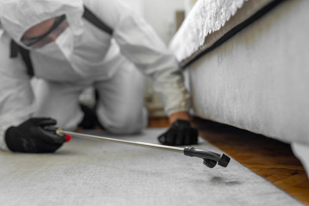 Professional Bed Bug Control technician working in Edgewood, NM