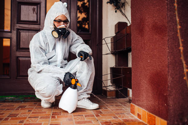 Reliable Bed Bug Control contractor in Edgewood, NM by Nex Pest Control